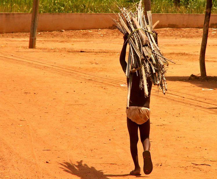 Fotky: Benin (foto, obrazky)