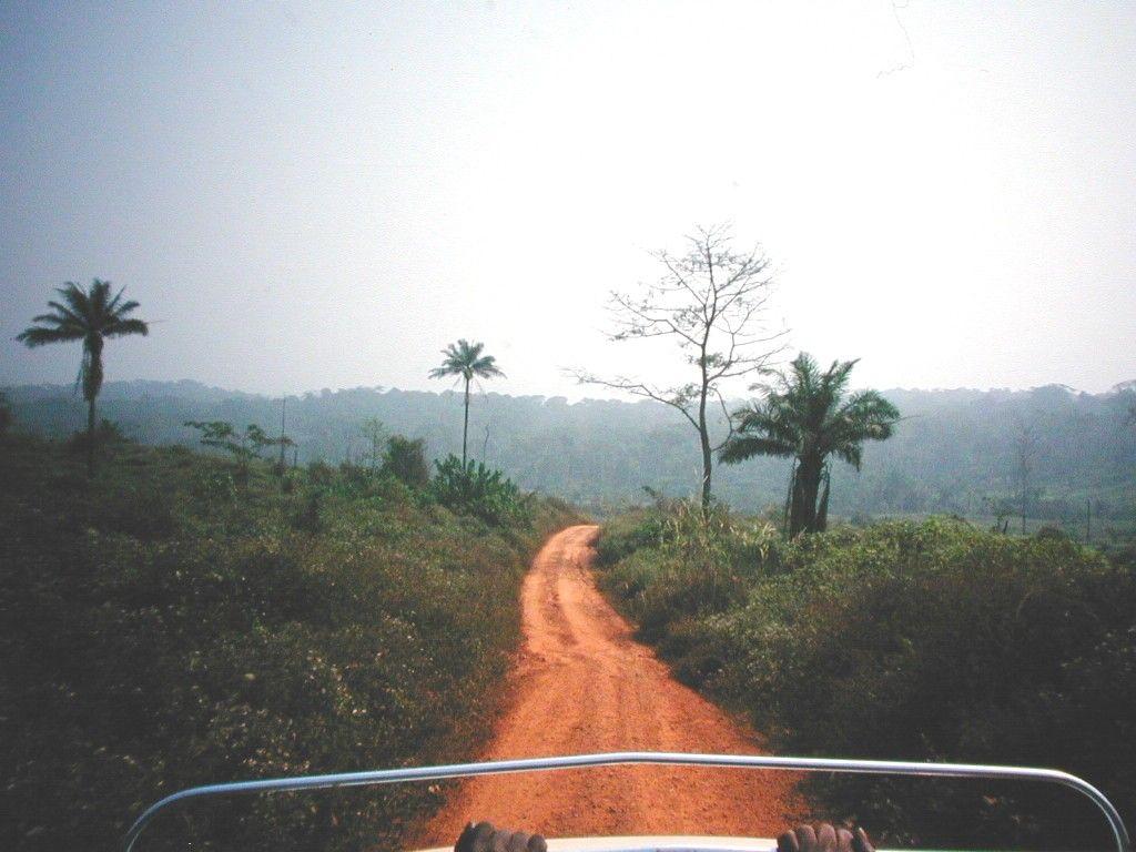 Fotky: Stedoafrick republika (foto, obrazky)