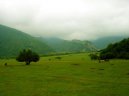 :  > zerbjdn (Azerbaijan)