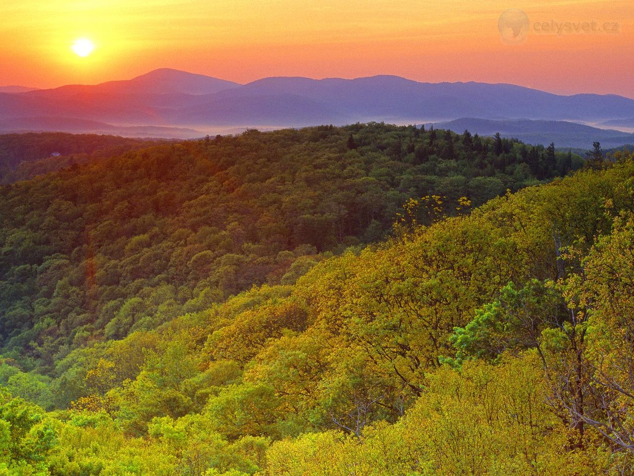 Foto: Sunrise Near Grandfather Mountain, Blue Ridge Parkway, North Carolina