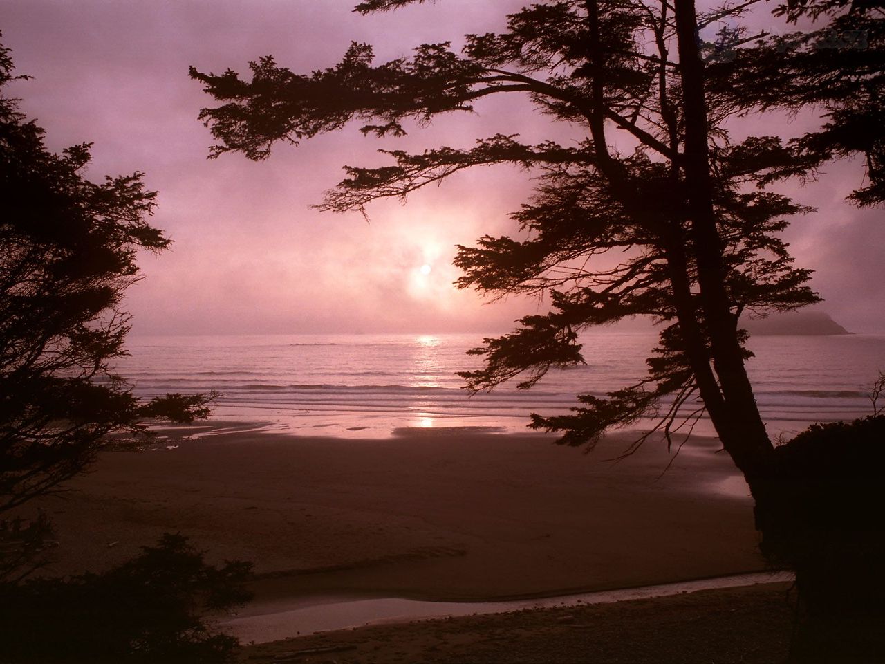 Foto: Mosquito Creek Meets The Sea, Olympic National Park, Washington