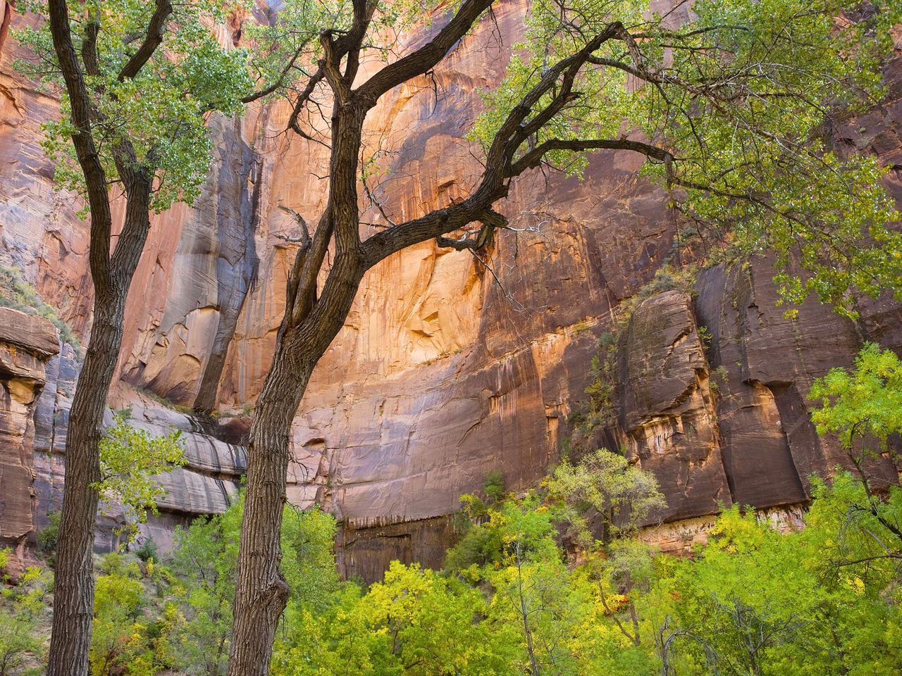 Foto: Zion National Park Utah