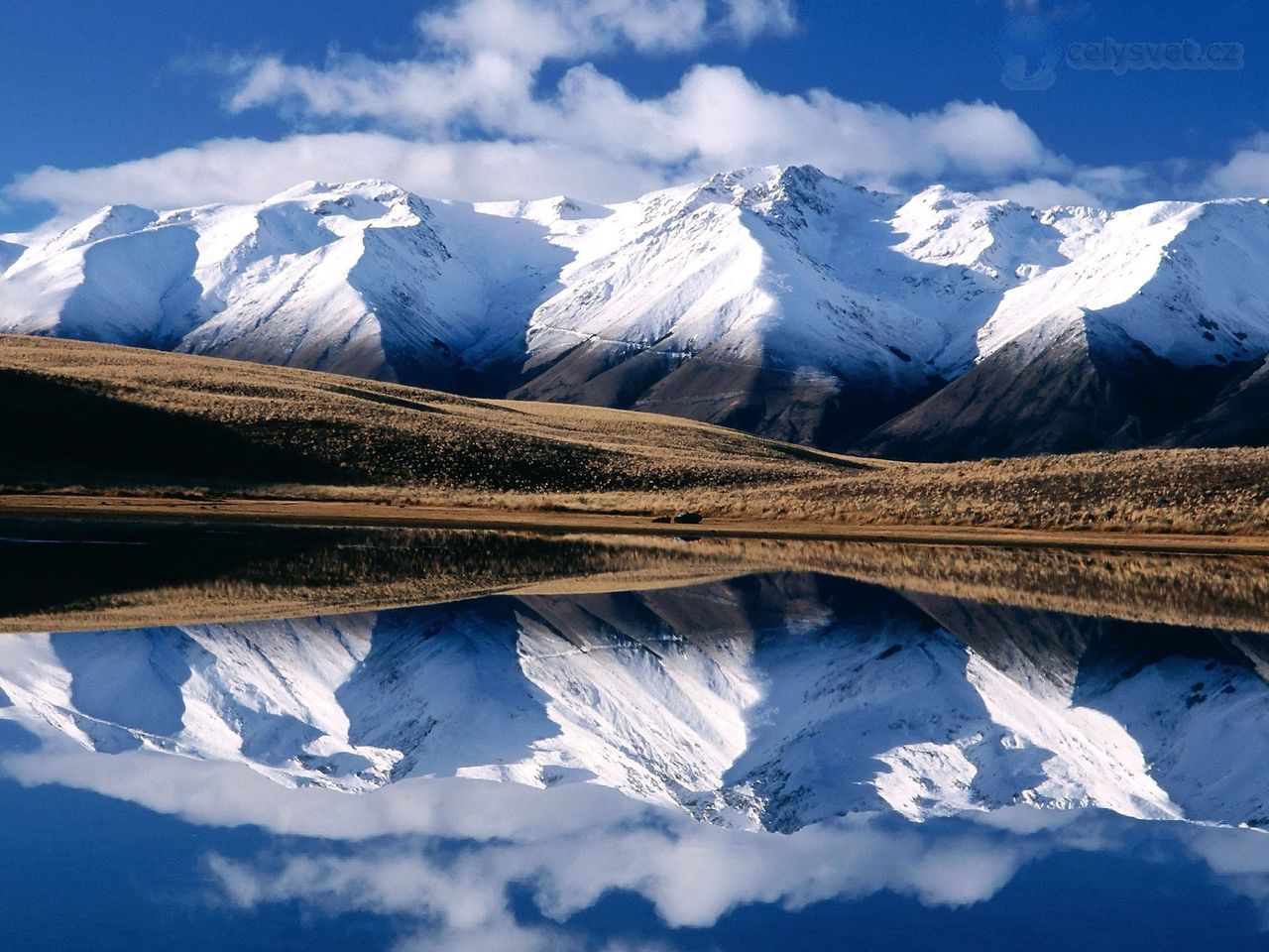 Foto: Mckenzie Basin, New Zealand