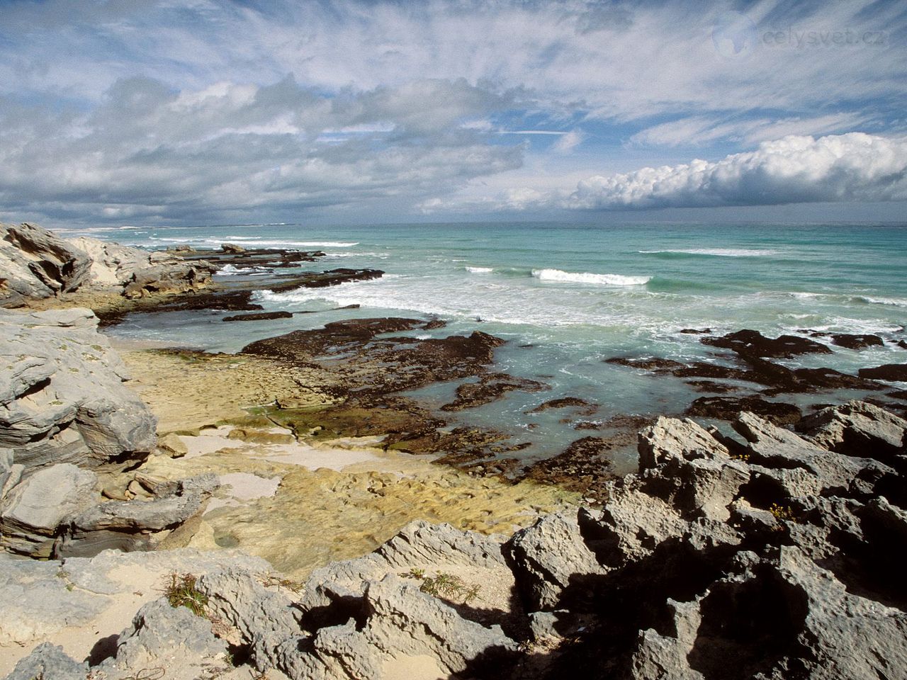 Foto: De Hoop Nature Reserve, Western Cape, South Africa