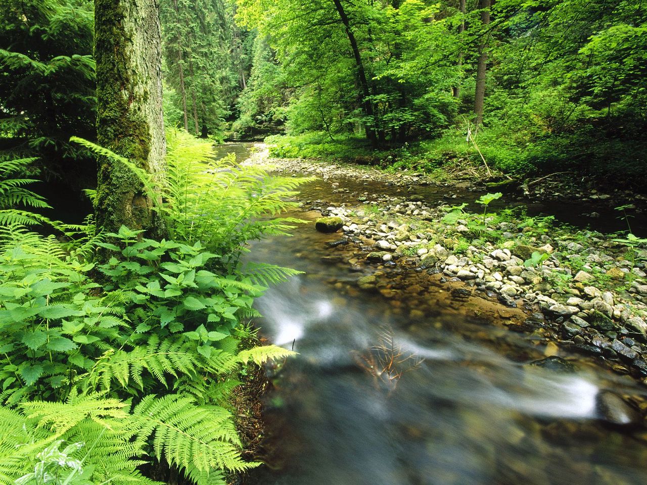 Foto: Polenz, Sachsische Schweiz National Park, Germany