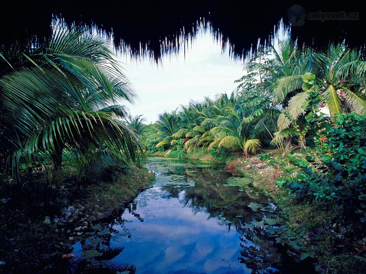 Foto: Yucatan, Mexico