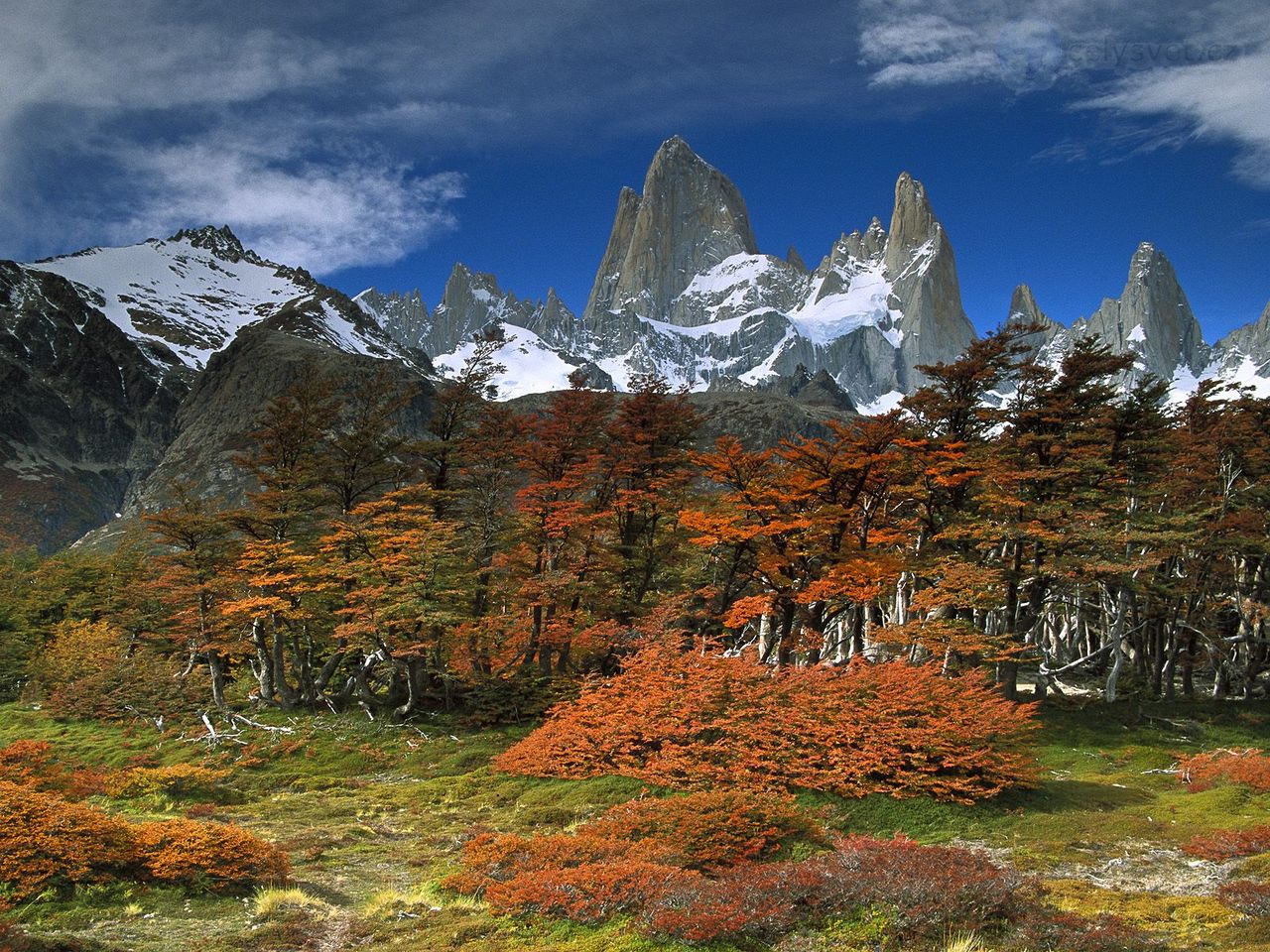 Foto: Mount Fitzroy And Beech Trees, Los Glaciares National Park, Patagonia, Argentina