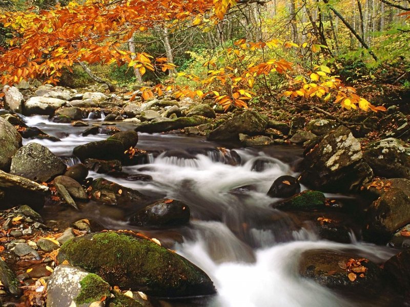 Foto: Laurel Creek In Autumn, Great Smoky Mountains, Tennessee