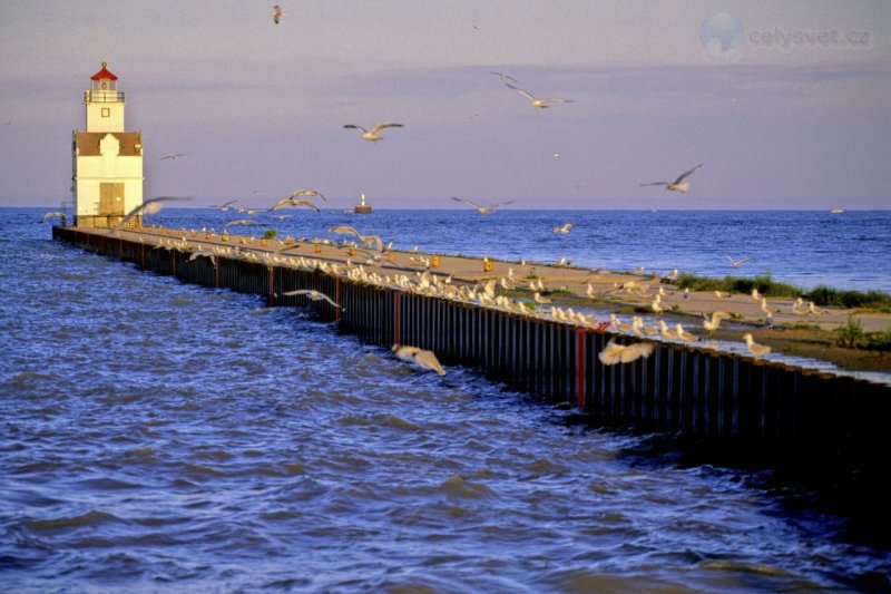 Foto: Kewaunee Pierhead Lighthouse And Gulls At Sunset, Wisconsin