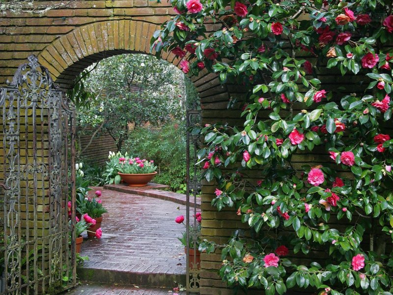 Foto: Woodland Garden Archway, Filoli Estate, Near Woodside, California