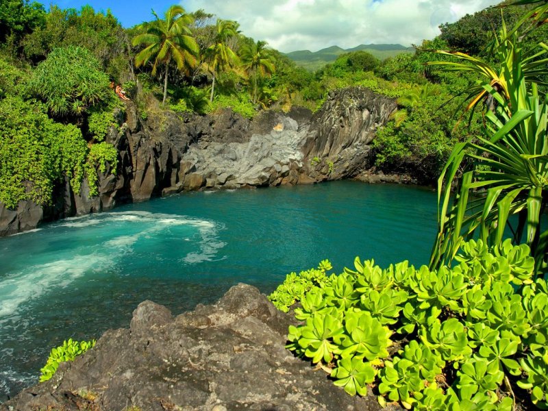 Foto: Venice Falls, Maui, Hawaii