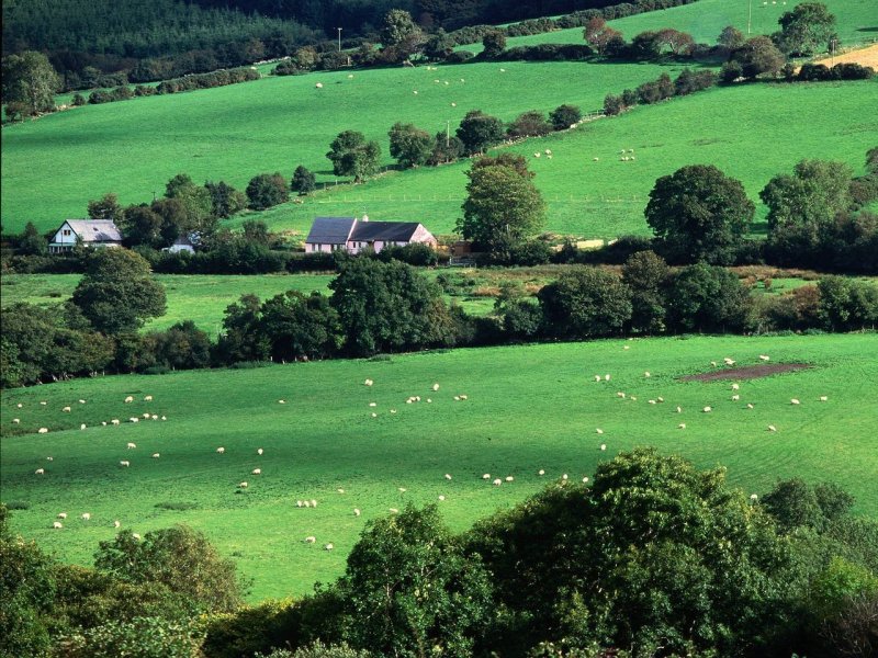 Foto: Fields And Farmhouses Of County Cork, Ireland