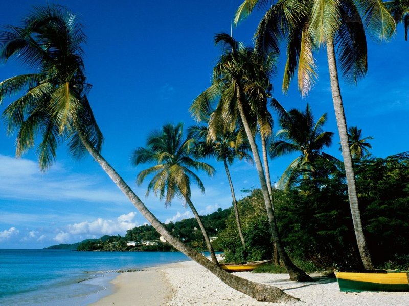 Foto: Grand Anse Beach, Grenada