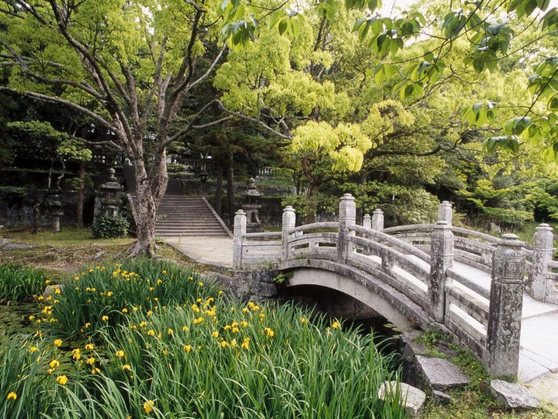 Foto: Hagi Castle Garden, Western Honshu, Japan