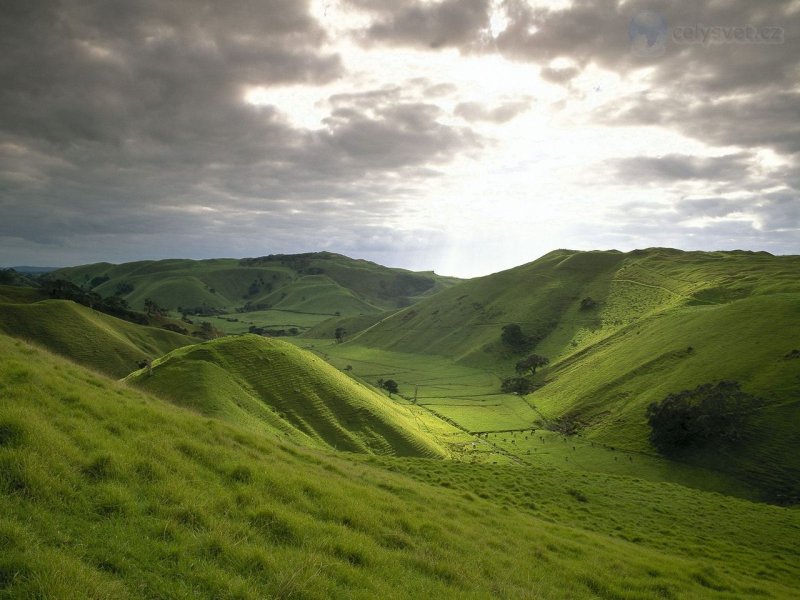 Foto: Rolling Hills Of New Zealand