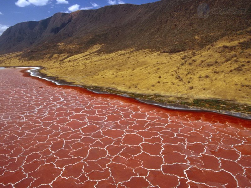 Foto: Soda Formations On The Surface Of Lake Natron, Tanzania