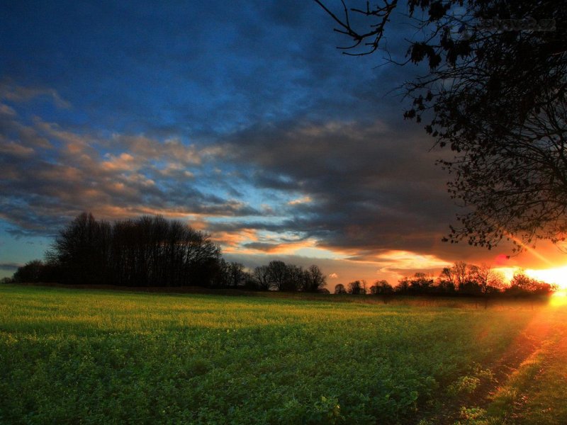 Foto: Sunset Near Oxted, Surrey, England